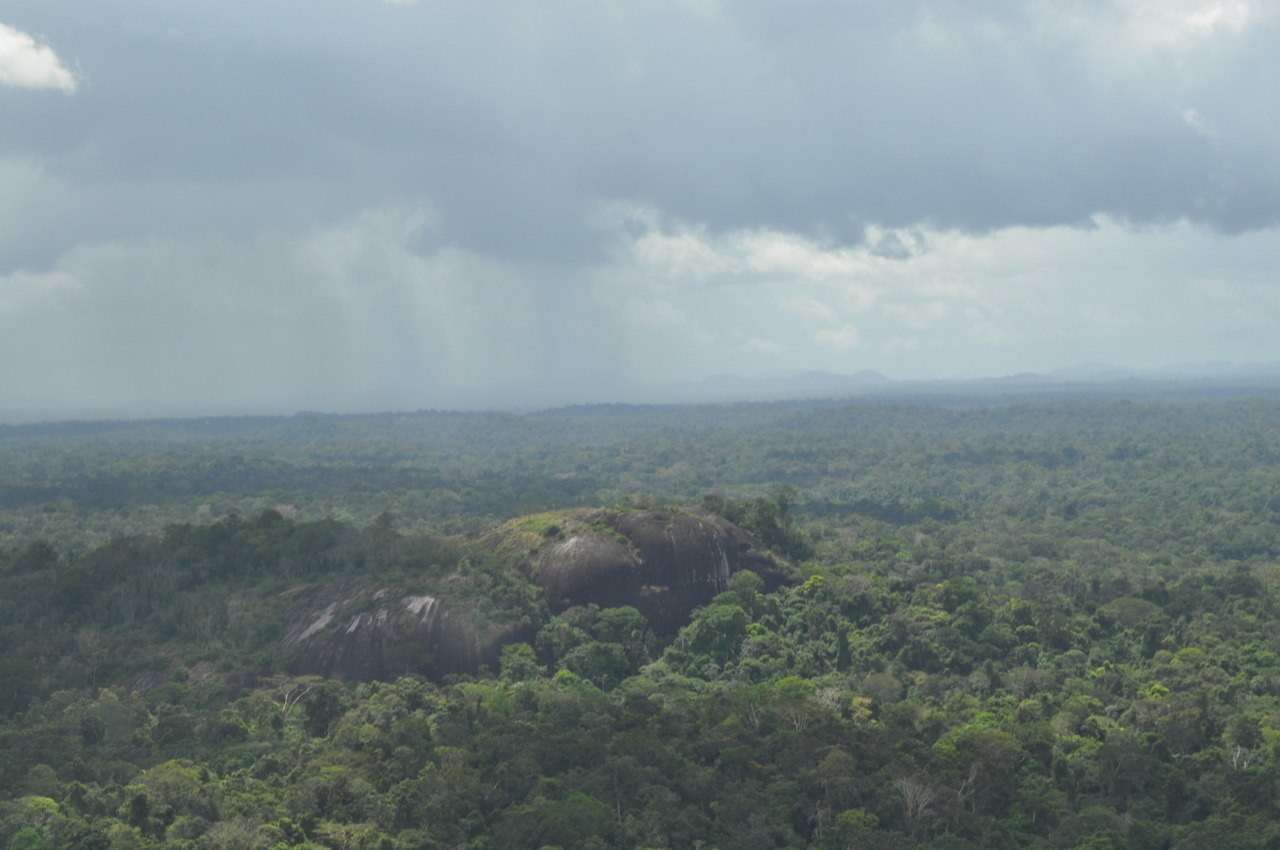 Aerial view of a rainforest with rocky hills under a cloudy sky.
